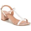 Betty London CREPE
