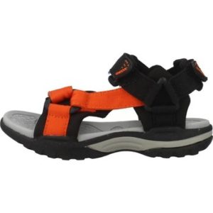 Geox J BOREALIS BOY