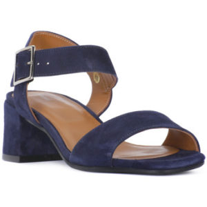 Frau CAMOSCIO NAVY